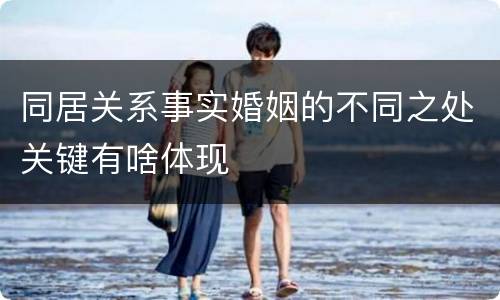 同居关系事实婚姻的不同之处关键有啥体现