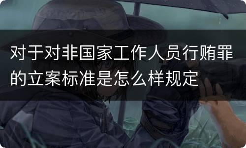对于对非国家工作人员行贿罪的立案标准是怎么样规定