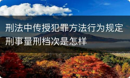 刑法中传授犯罪方法行为规定刑事量刑档次是怎样