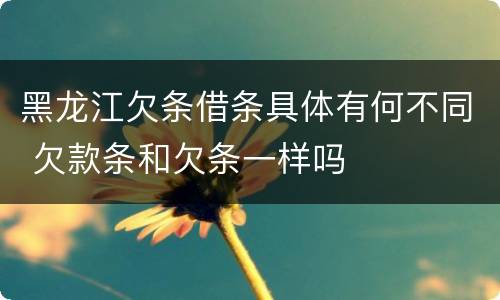 黑龙江欠条借条具体有何不同 欠款条和欠条一样吗