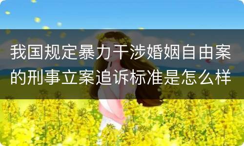 我国规定暴力干涉婚姻自由案的刑事立案追诉标准是怎么样规定