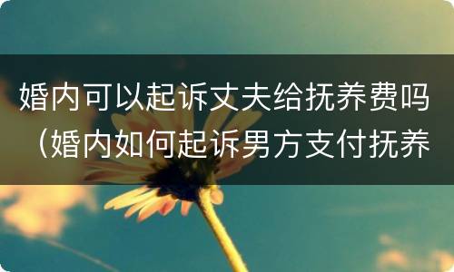 婚内可以起诉丈夫给抚养费吗（婚内如何起诉男方支付抚养费）