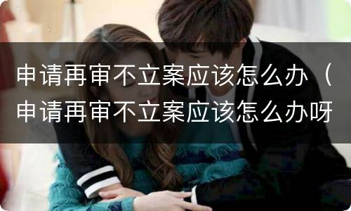 申请再审不立案应该怎么办（申请再审不立案应该怎么办呀）