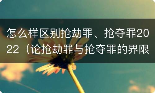 怎么样区别抢劫罪、抢夺罪2022(论抢劫罪与抢夺罪的界限)
