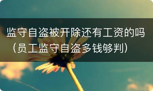 监守自盗被开除还有工资的吗（员工监守自盗多钱够判）