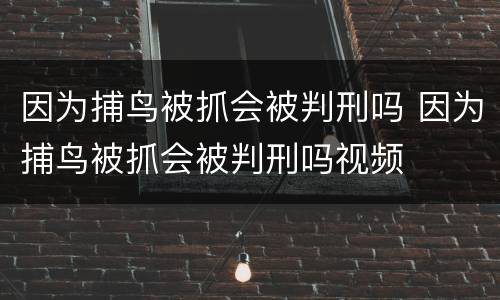 因为捕鸟被抓会被判刑吗 因为捕鸟被抓会被判刑吗视频