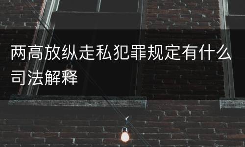 两高放纵走私犯罪规定有什么司法解释