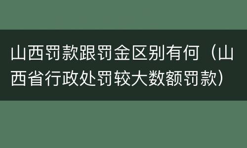 山西罚款跟罚金区别有何（山西省行政处罚较大数额罚款）
