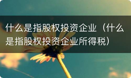 什么是指股权投资企业（什么是指股权投资企业所得税）