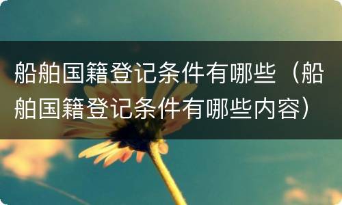船舶国籍登记条件有哪些（船舶国籍登记条件有哪些内容）