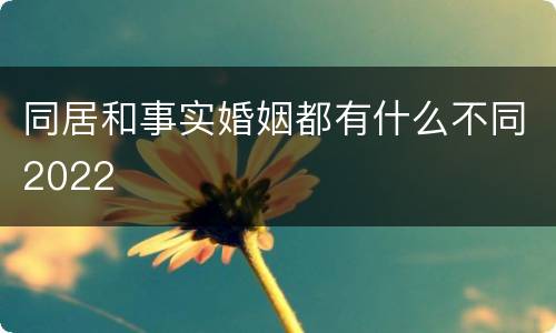 同居和事实婚姻都有什么不同2022