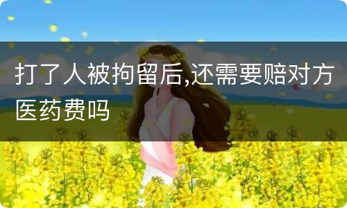打了人被拘留后,还需要赔对方医药费吗