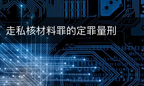 走私核材料罪的定罪量刑