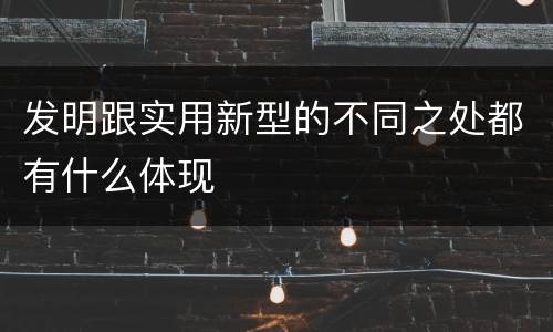 发明跟实用新型的不同之处都有什么体现