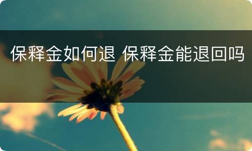 保释金如何退 保释金能退回吗