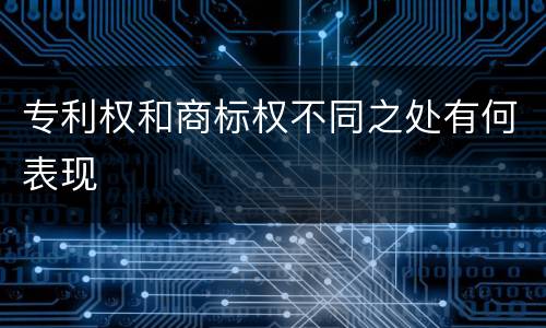 专利权和商标权不同之处有何表现