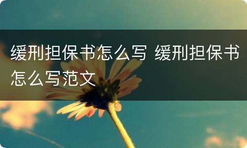 缓刑担保书怎么写 缓刑担保书怎么写范文