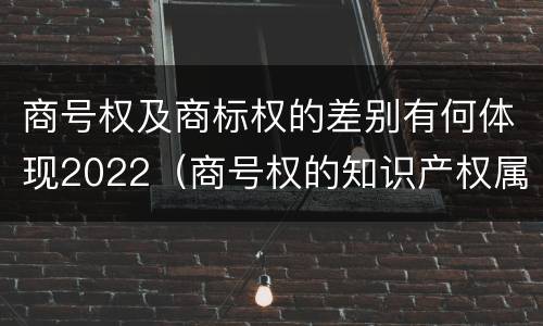 商号权及商标权的差别有何体现2022（商号权的知识产权属性）