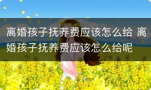 离婚孩子抚养费应该怎么给 离婚孩子抚养费应该怎么给呢