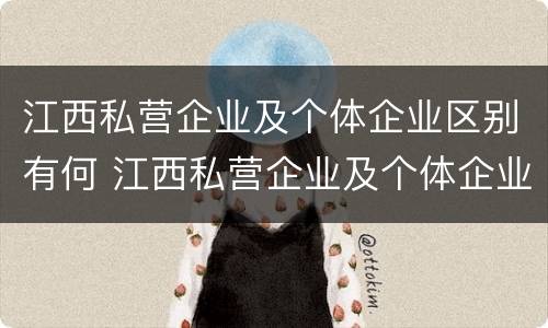 江西私营企业及个体企业区别有何 江西私营企业及个体企业区别有何特点