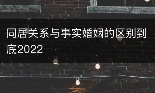 同居关系与事实婚姻的区别到底2022
