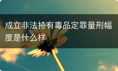 成立非法持有毒品定罪量刑幅度是什么样