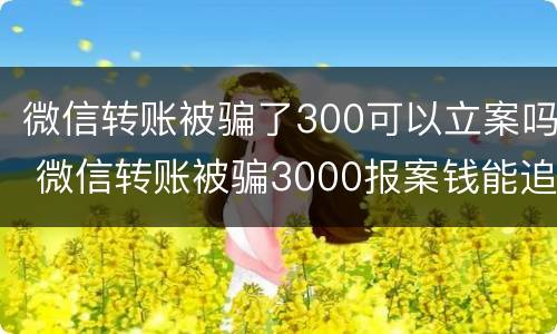 微信转账被骗了300可以立案吗 微信转账被骗3000报案钱能追回来吗