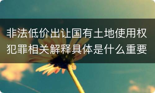 非法低价出让国有土地使用权犯罪相关解释具体是什么重要内容