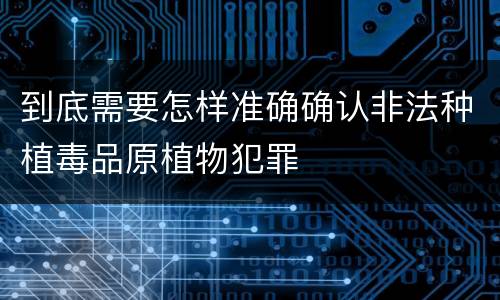 到底需要怎样准确确认非法种植毒品原植物犯罪