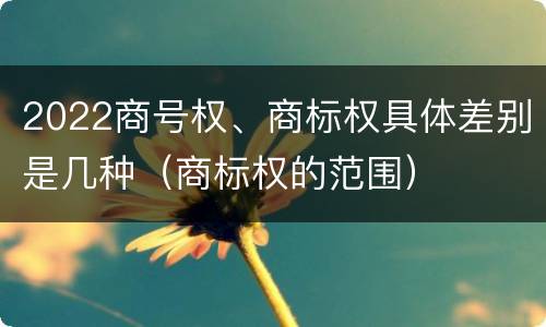 2022商号权、商标权具体差别是几种（商标权的范围）