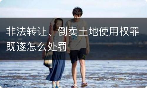 非法转让、倒卖土地使用权罪既遂怎么处罚