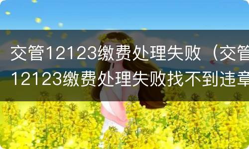 交管12123缴费处理失败（交管12123缴费处理失败找不到违章了）