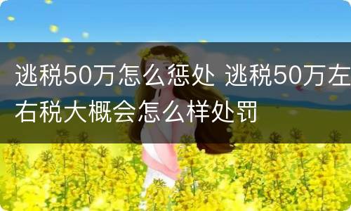 逃税50万怎么惩处 逃税50万左右税大概会怎么样处罚