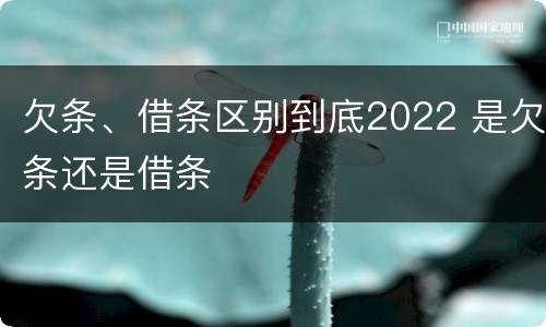 欠条、借条区别到底2022 是欠条还是借条