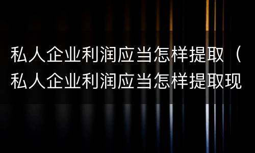 私人企业利润应当怎样提取（私人企业利润应当怎样提取现金）
