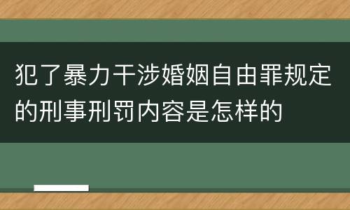犯了暴力干涉婚姻自由罪规定的刑事刑罚内容是怎样的