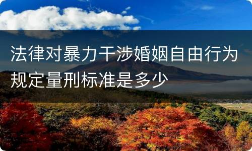 法律对暴力干涉婚姻自由行为规定量刑标准是多少