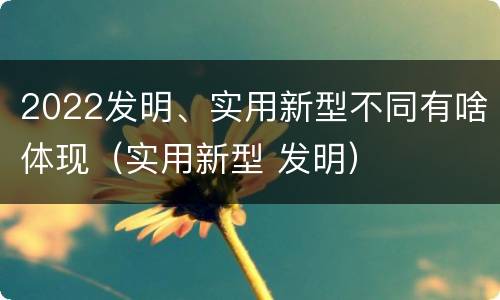 2022发明、实用新型不同有啥体现(实用新型 发明)