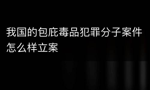 我国的包庇毒品犯罪分子案件怎么样立案