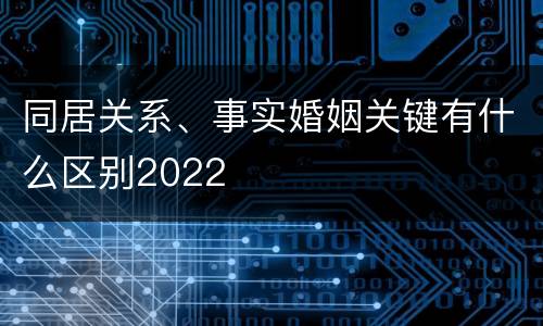 同居关系、事实婚姻关键有什么区别2022
