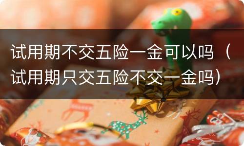 试用期不交五险一金可以吗（试用期只交五险不交一金吗）