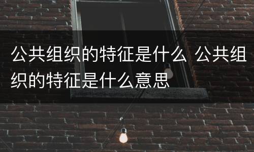 公共组织的特征是什么 公共组织的特征是什么意思