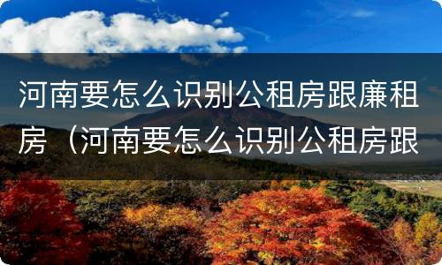 河南要怎么识别公租房跟廉租房（河南要怎么识别公租房跟廉租房的区别）