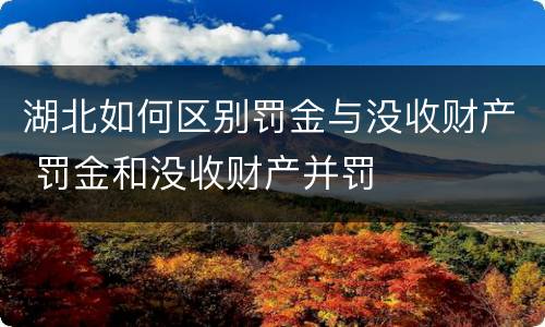 湖北如何区别罚金与没收财产 罚金和没收财产并罚