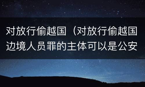 对放行偷越国（对放行偷越国边境人员罪的主体可以是公安民警吗）