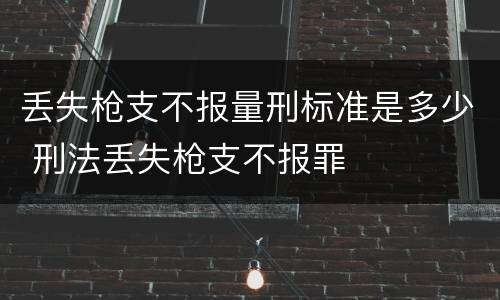 丢失枪支不报量刑标准是多少 刑法丢失枪支不报罪