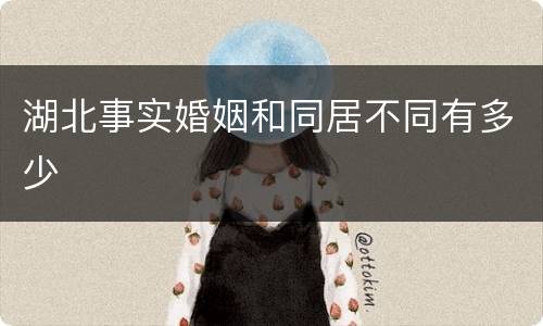 湖北事实婚姻和同居不同有多少