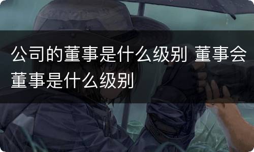 公司的董事是什么级别 董事会董事是什么级别