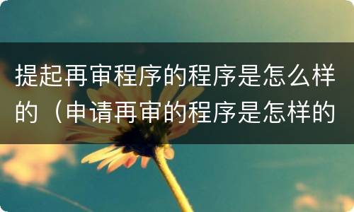 提起再审程序的程序是怎么样的（申请再审的程序是怎样的）