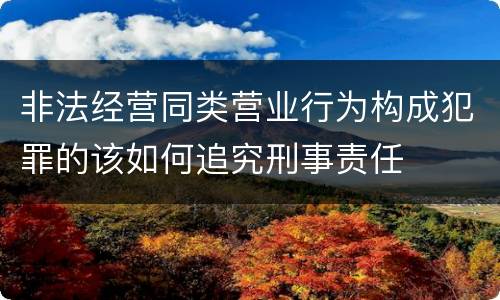 非法经营同类营业行为构成犯罪的该如何追究刑事责任